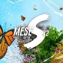 Cover of Meses X2