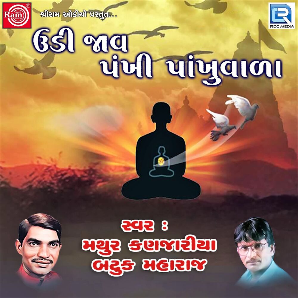 Picture of Udi Jav Pankhi Pankhuvala