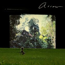 Cover of Arrow