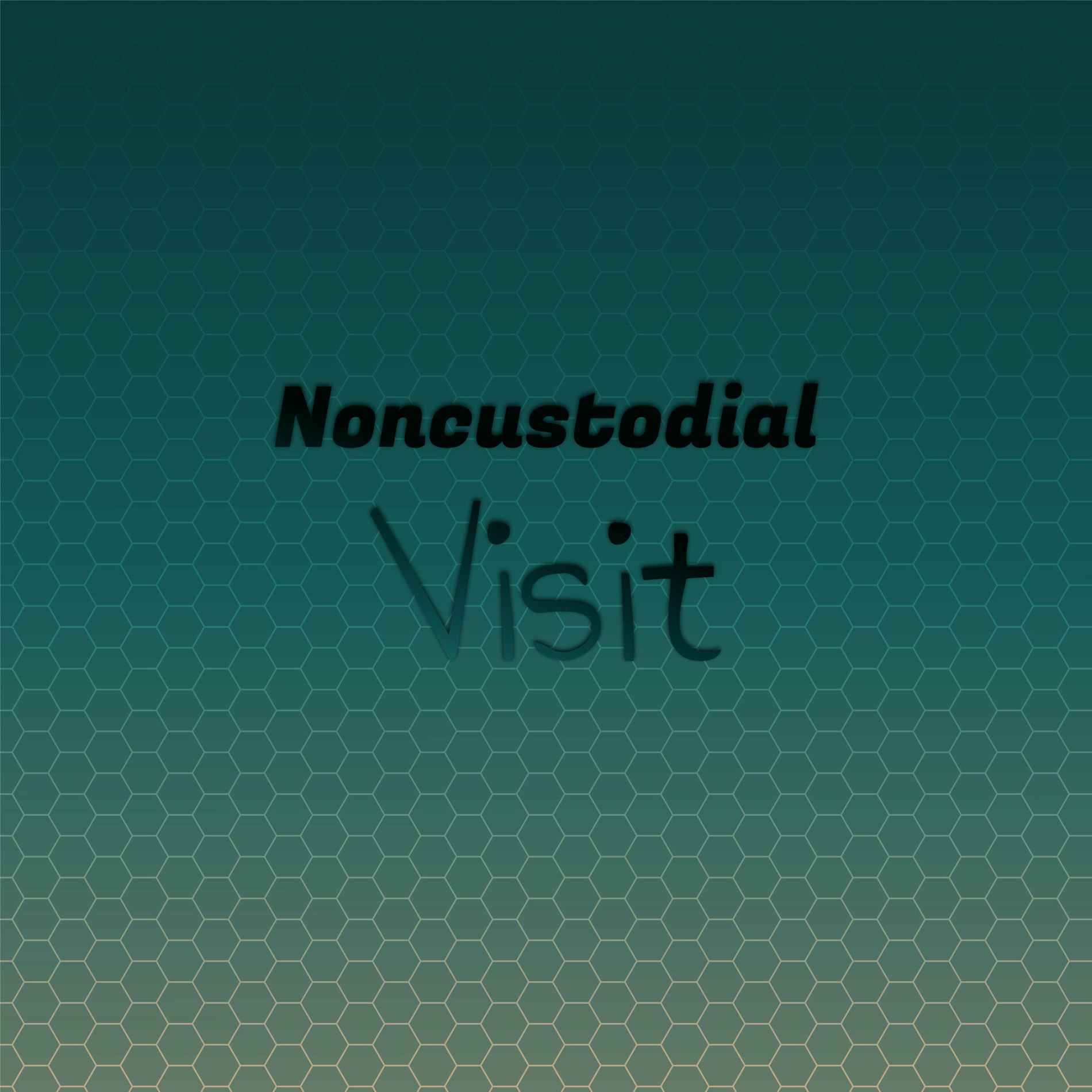 Album cover of Noncustodial Visit
