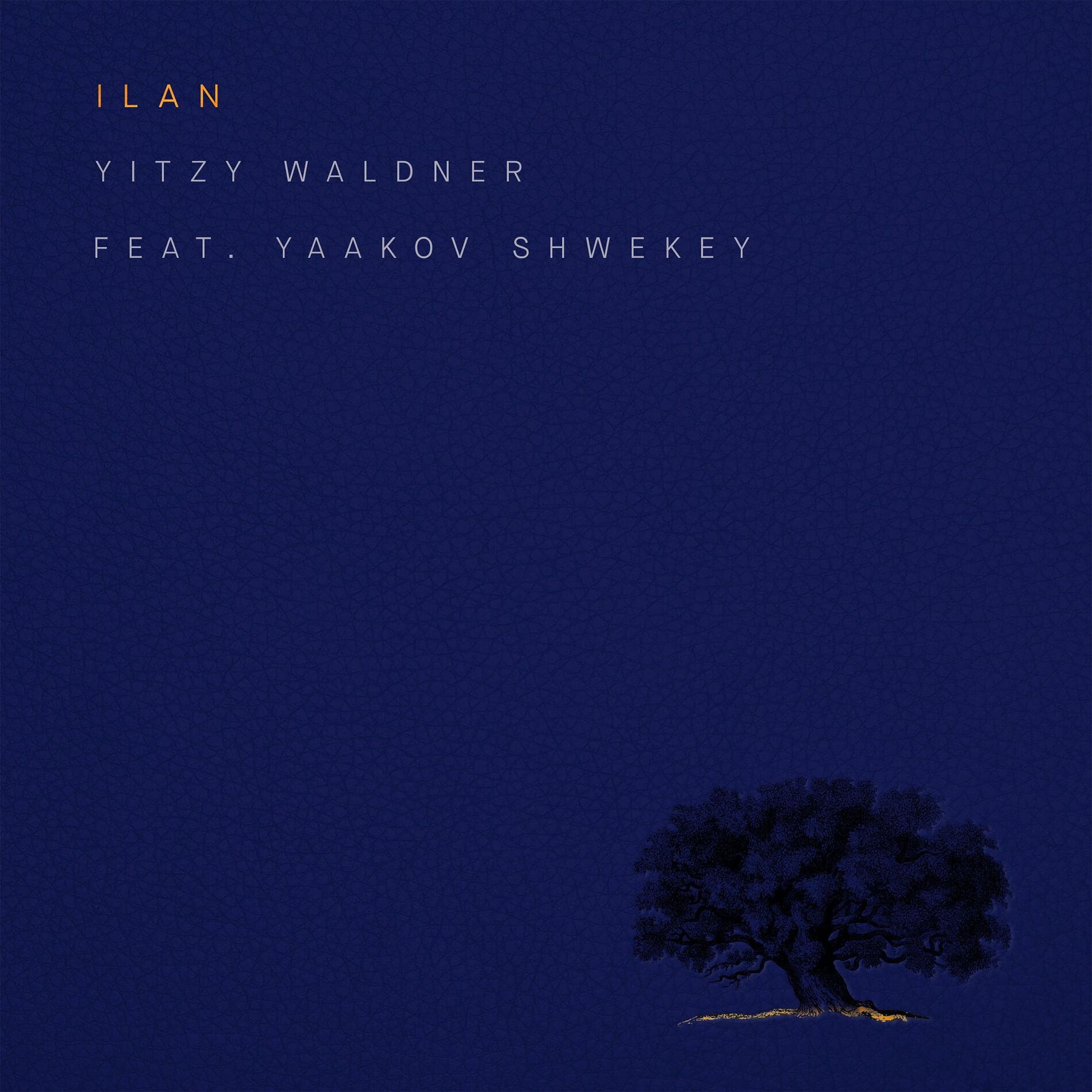 Album cover of Ilan (feat. Yaakov Shwekey)