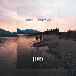 Cover of Where I Wanna Be