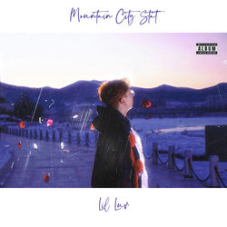 Cover of Mountain City Star by undefined