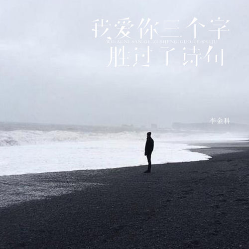 我爱你三个字胜过了诗句