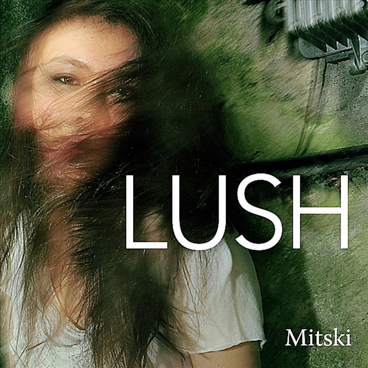 Album picture of Lush