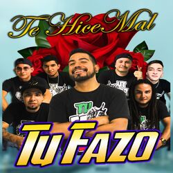 Cover of Te Hice Mal