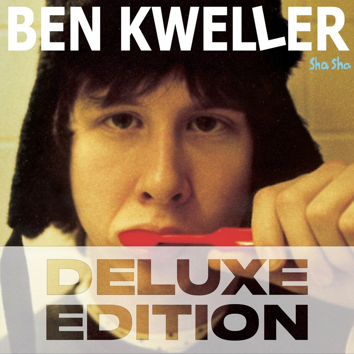 Album cover of Sha Sha Deluxe