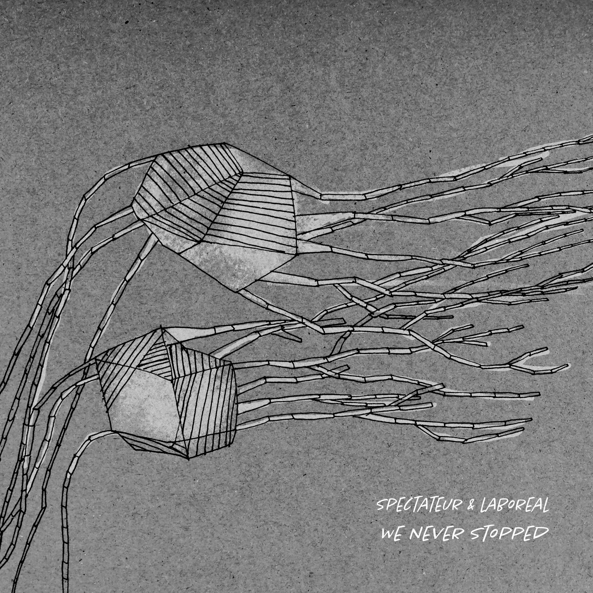 Album cover of We Never Stopped
