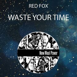 Cover of Waste Your Time