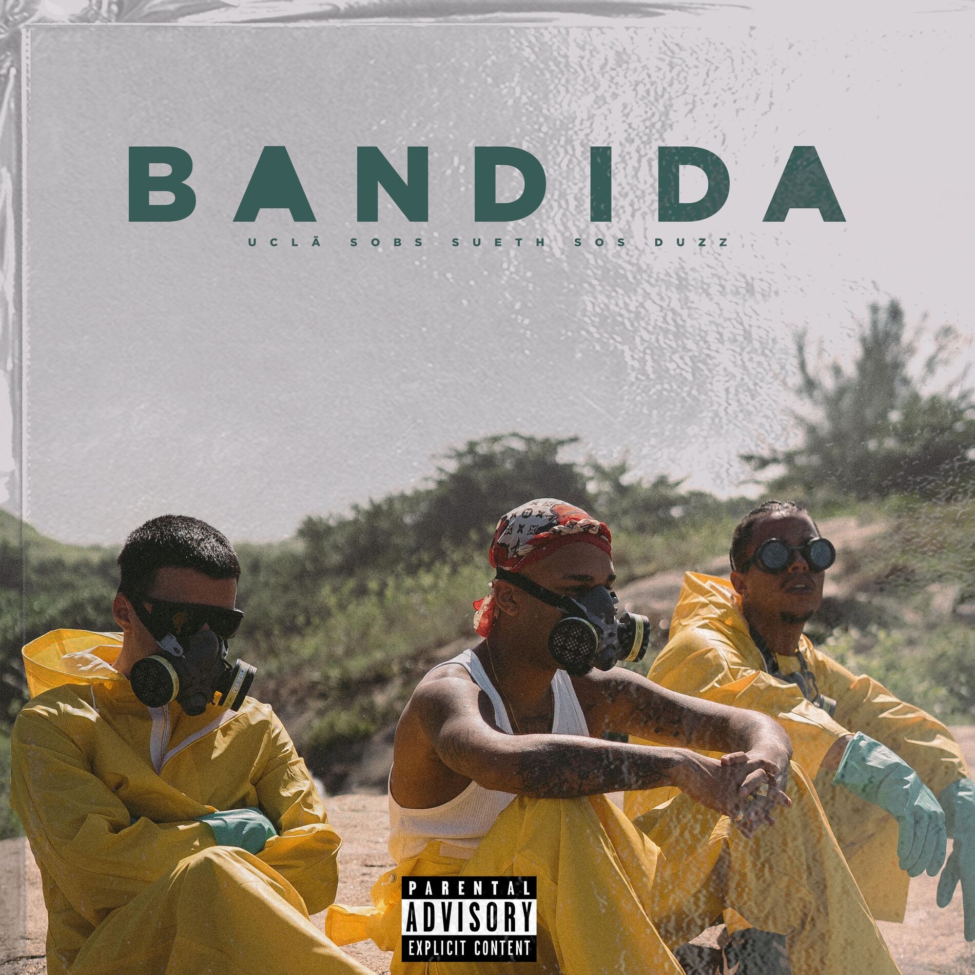Album cover of Bandida