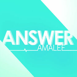 Cover of Answer