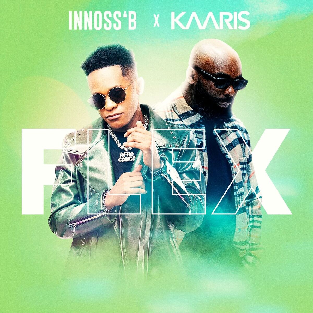 Album cover of Flex (feat. Kaaris)