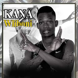 Cover of Wliboni