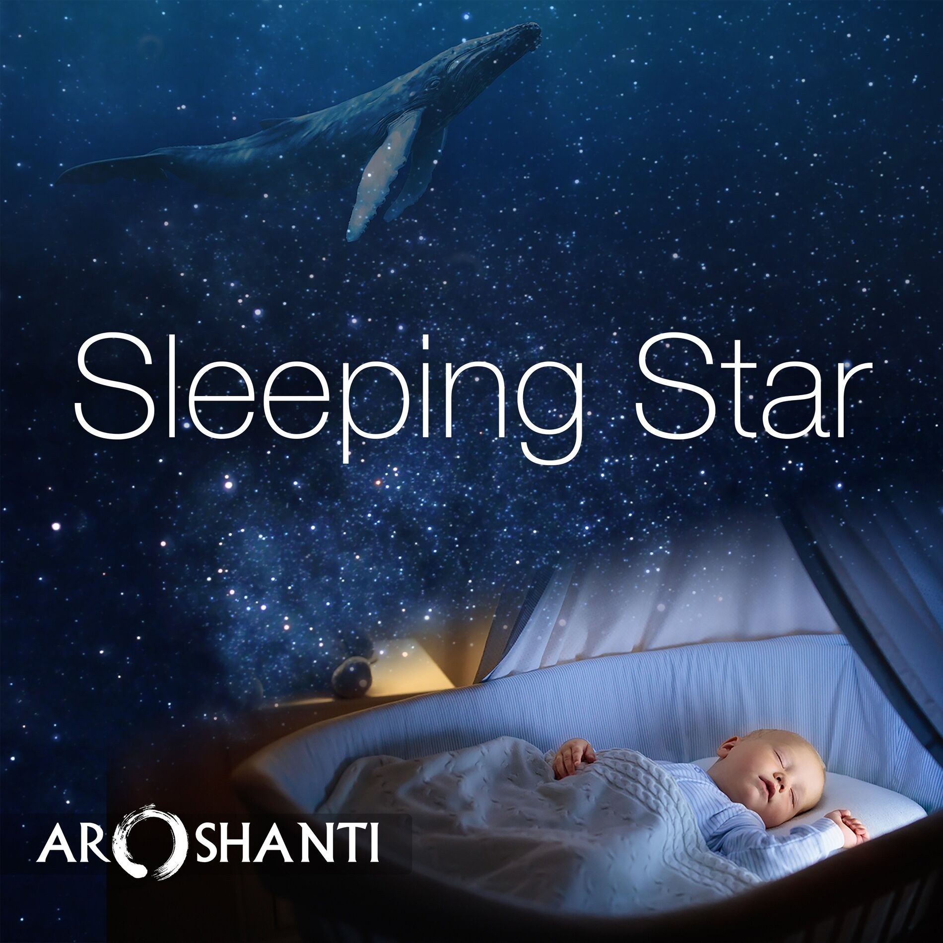 Album cover of Sleeping Star