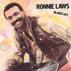 Cover of Mr. Nice Guy