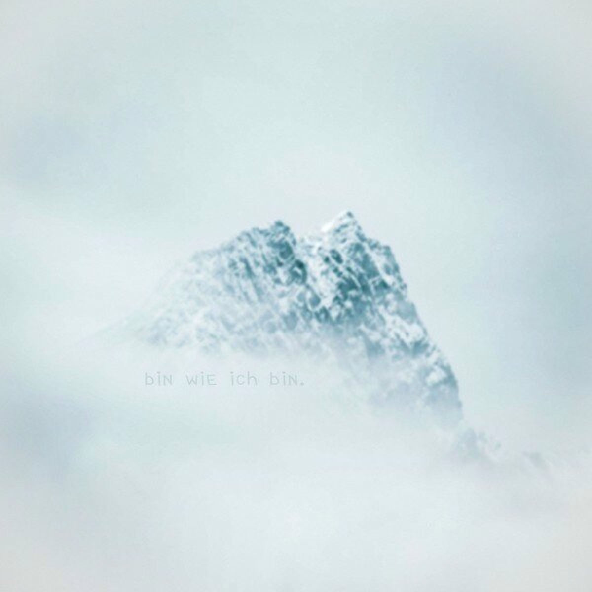 Album cover of Bin wie ich bin