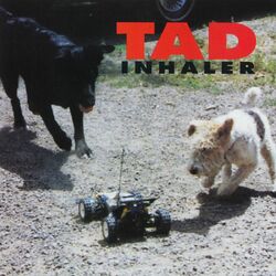 Cover of Inhaler