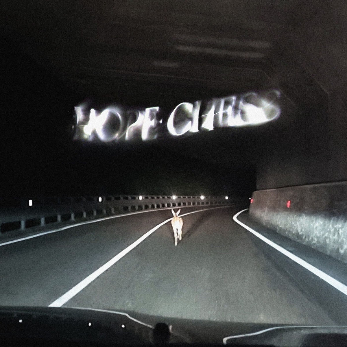 Album cover of Hope Chess