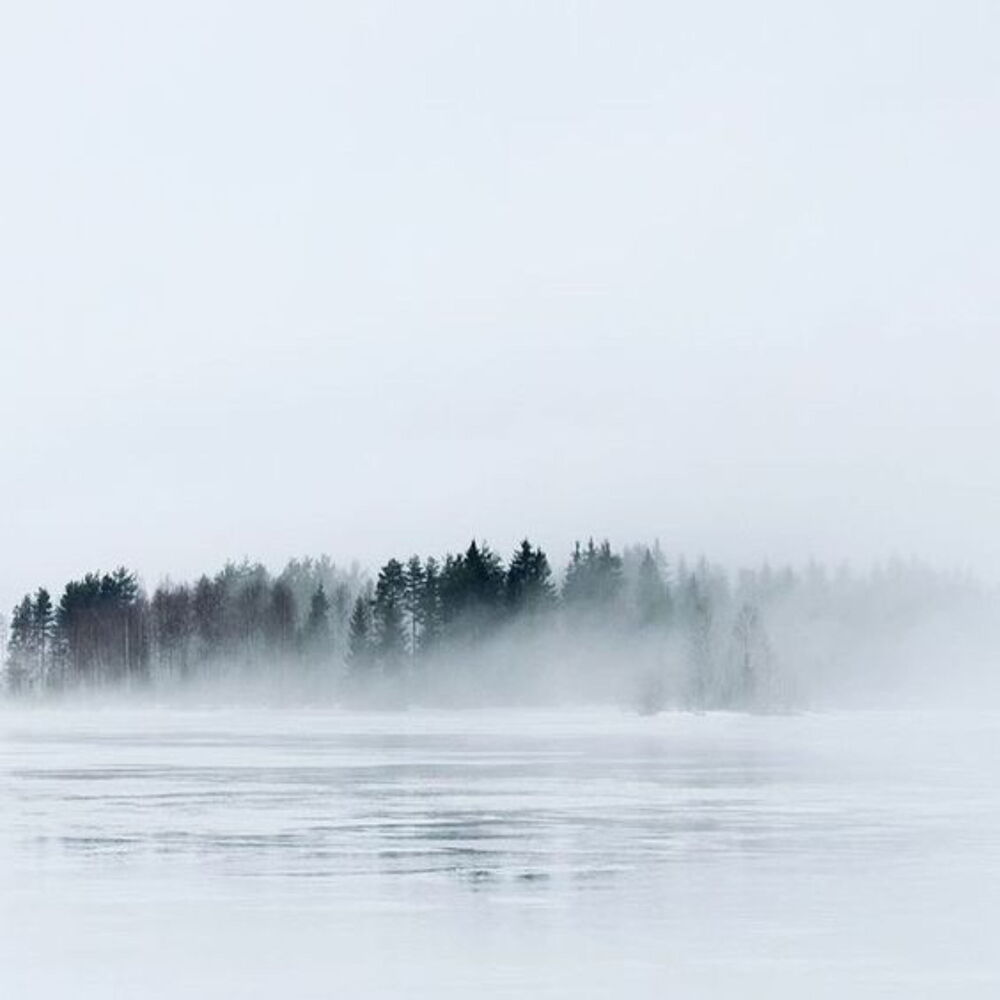 Picture of Frostbite