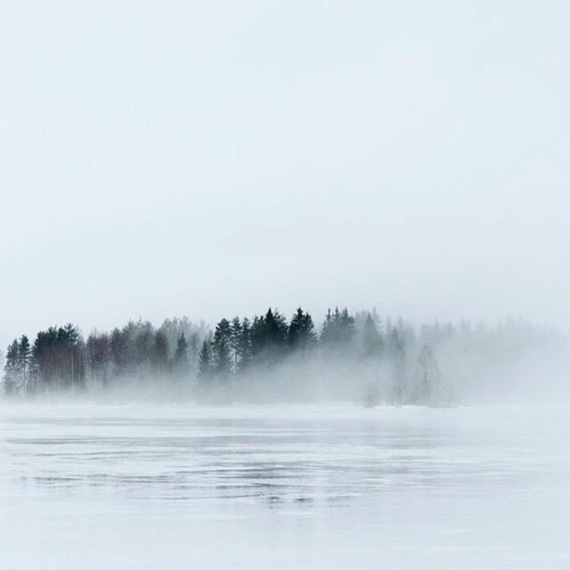 Album cover of Frostbite