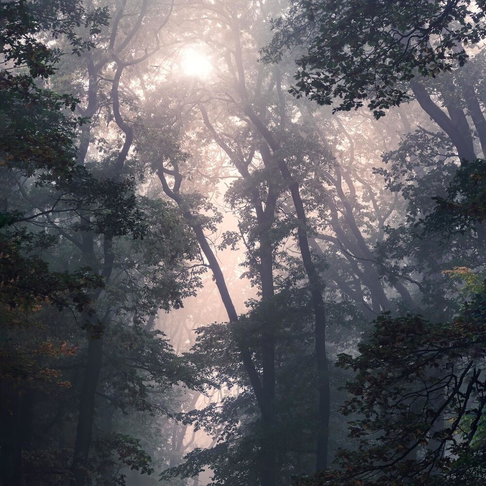 Picture of light at the end