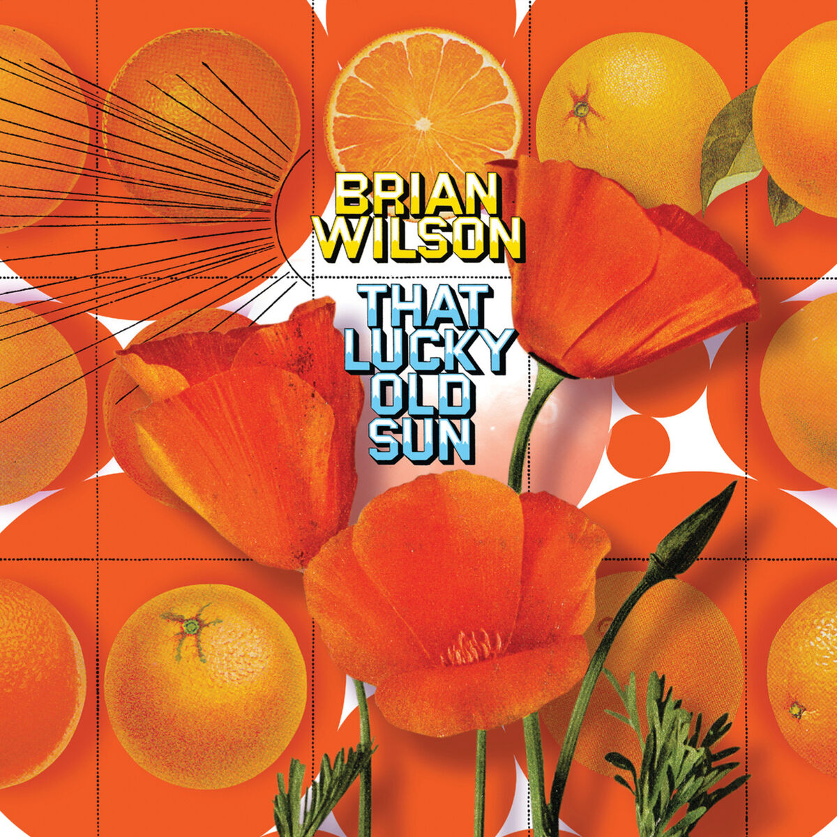 Album cover of That Lucky Old Sun