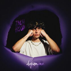 Cover of dopamine