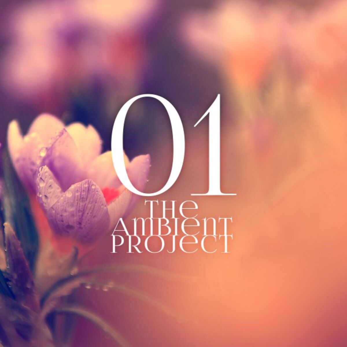Album cover of The Ambient Project, Vol. 1