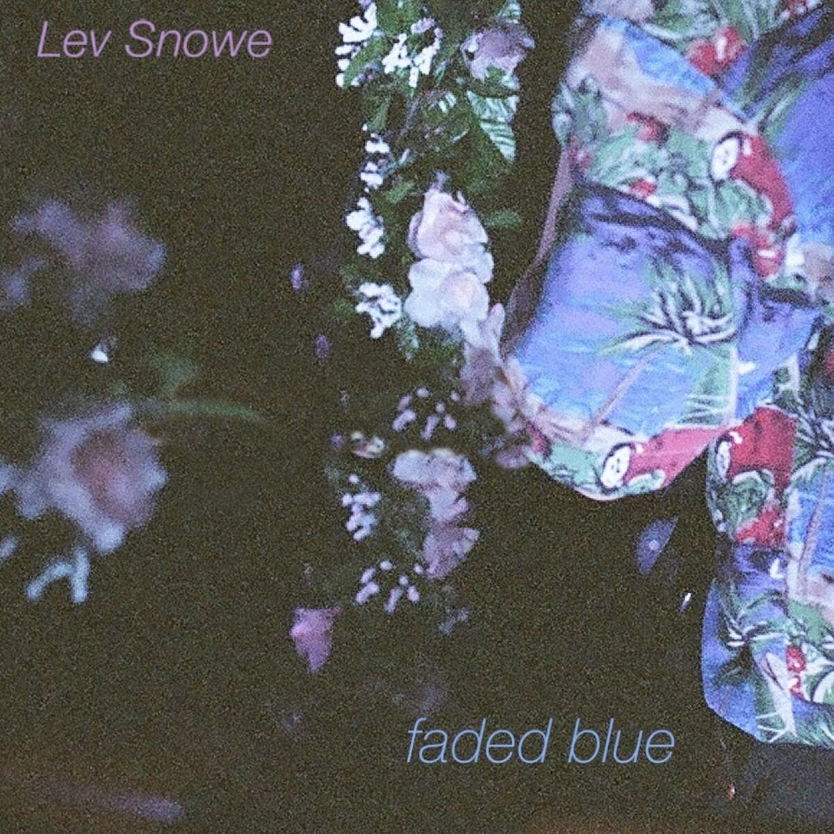 Album cover of Faded Blue