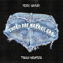 Cover of ENSAIO DAS MARAVILHAS