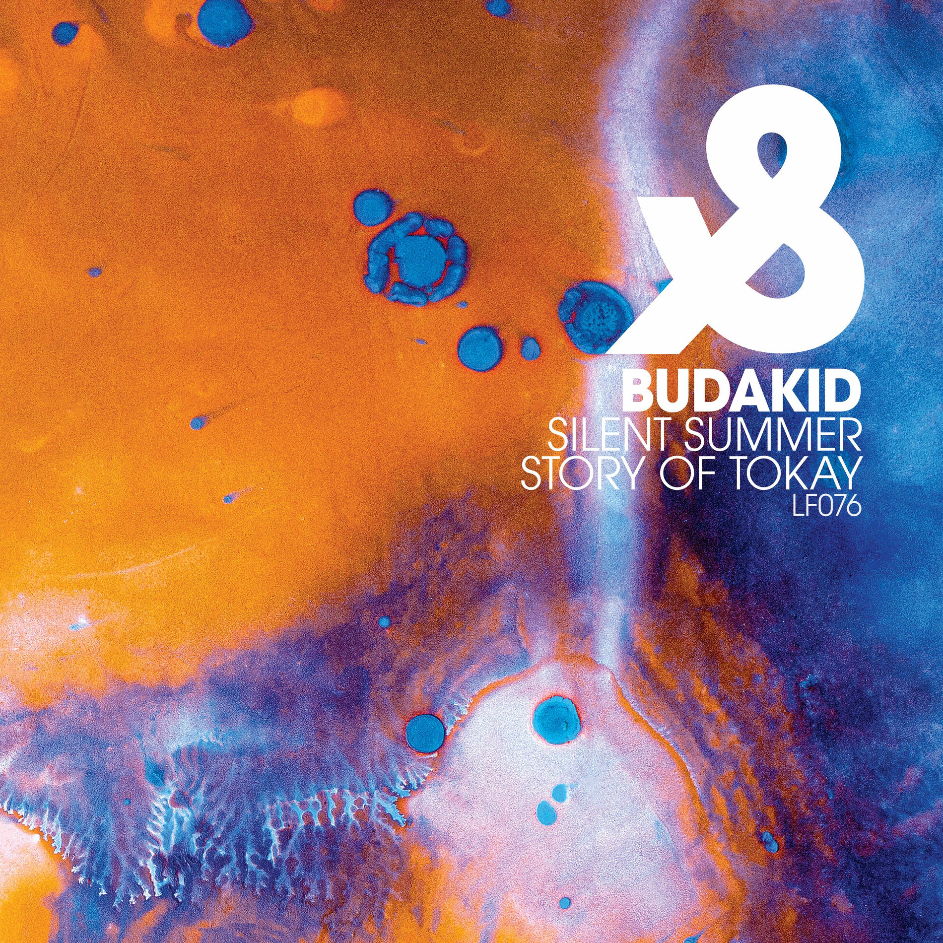 Album cover of Silent Summer