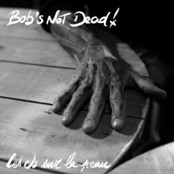 Cover of Les os sur la peau