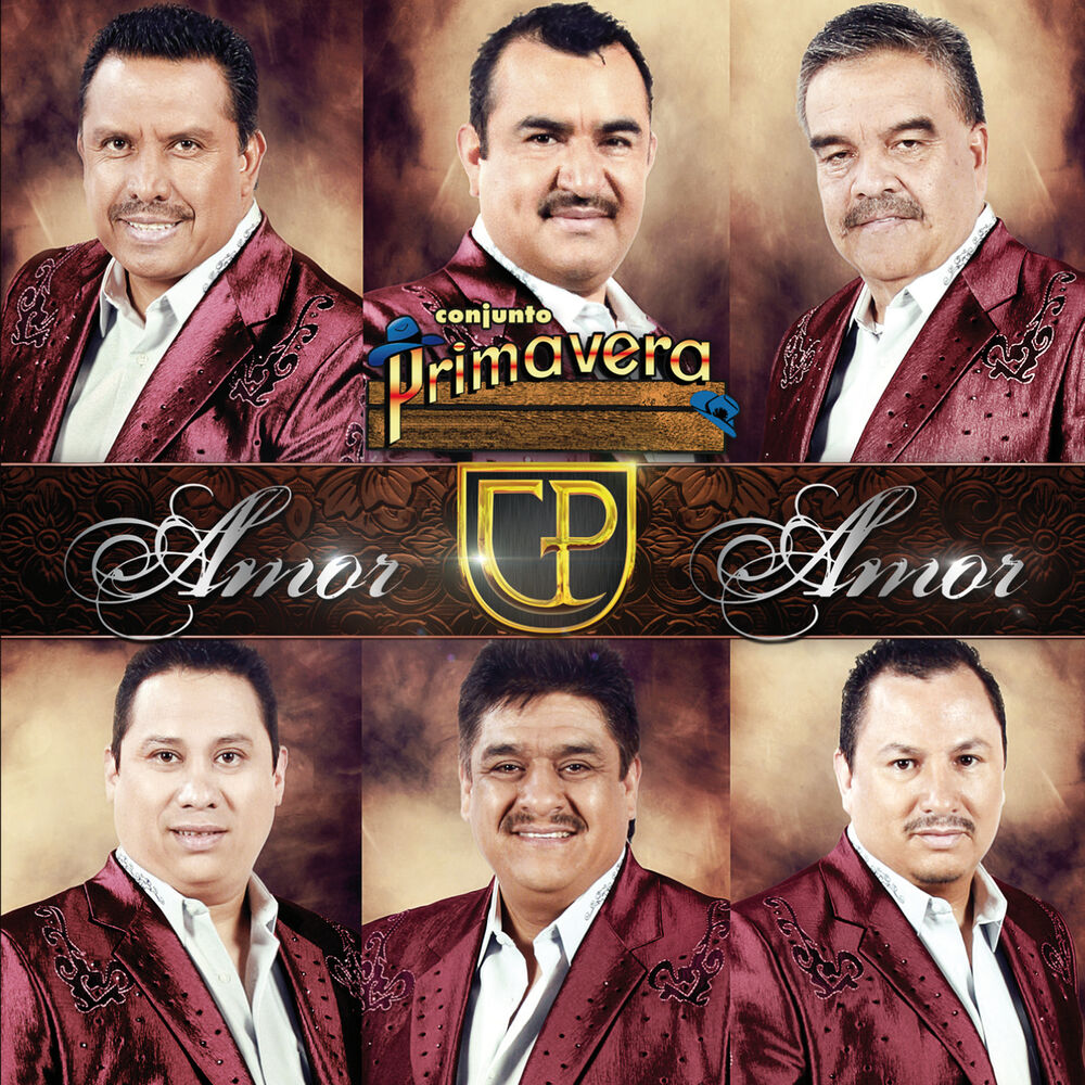 Picture of Amor Amor