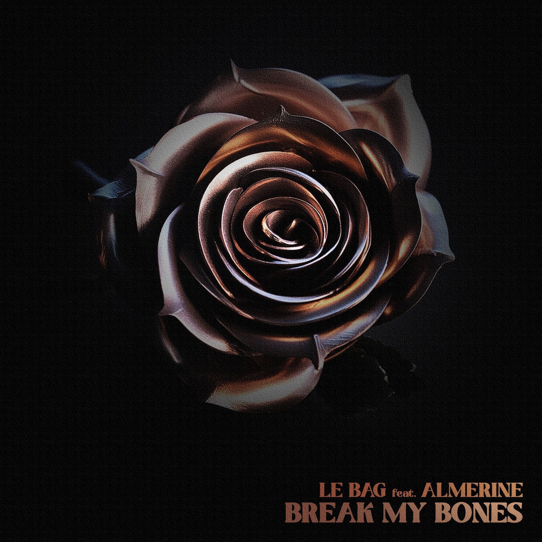 Album cover of Break My Bones