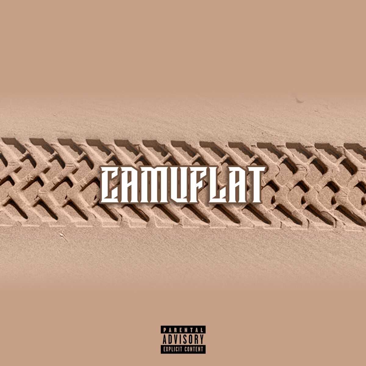 Album cover of camuflat
