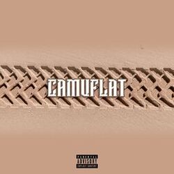 Cover of camuflat