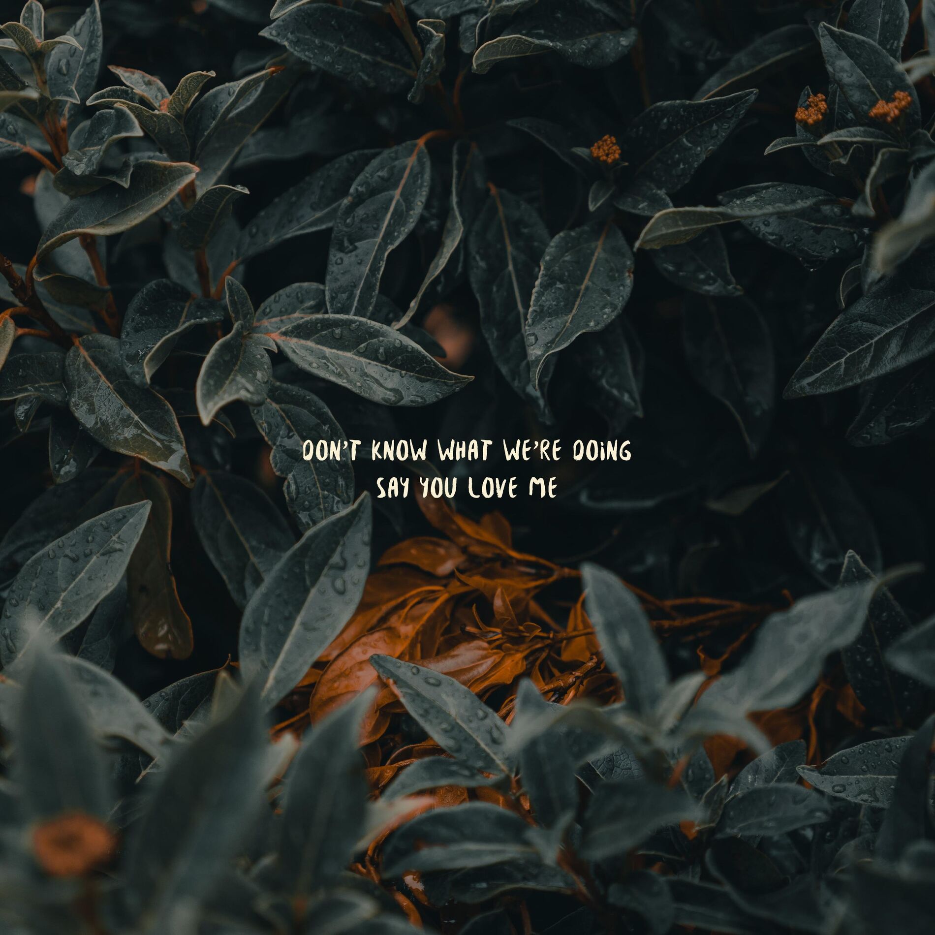 Album cover of don't know what we're doing