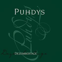 Cover of Dezembertage