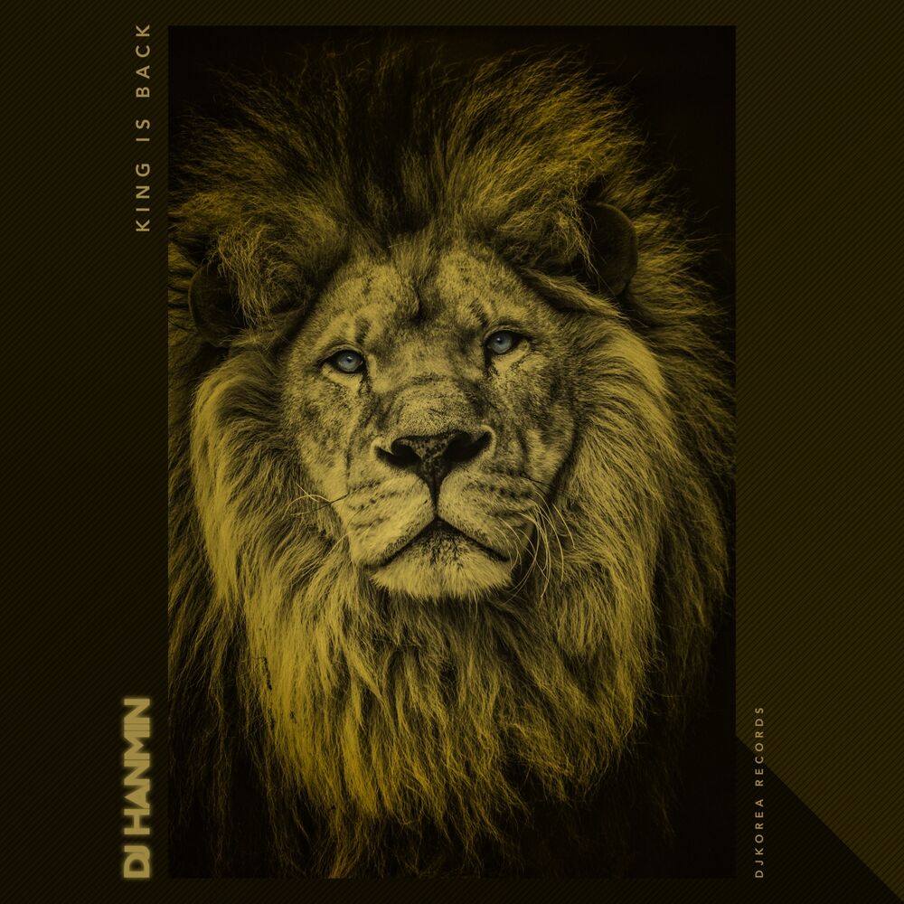 Picture of King Is Back (Original Mix)