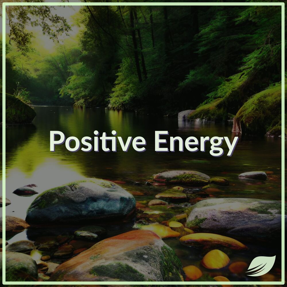 Picture of Meditation Music Relax Mind & Body (Meditation Music For Positive Energy & Sleep Music)