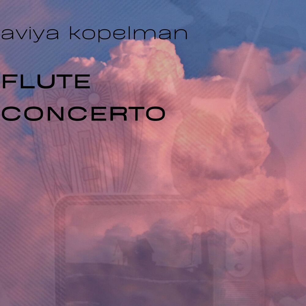 Picture of Flute Concerto