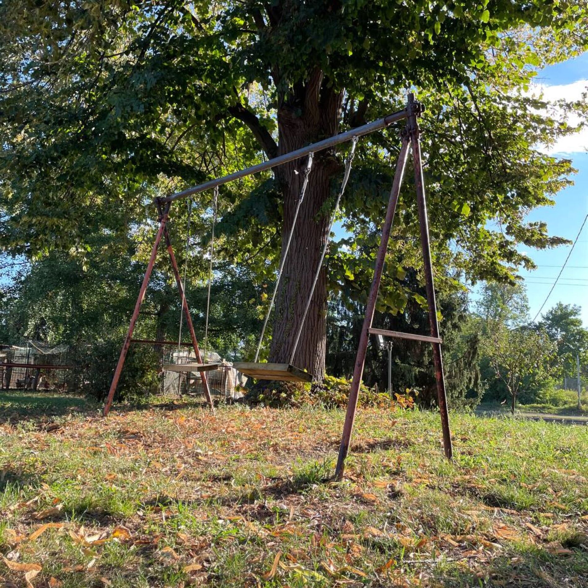 Album cover of Another Land