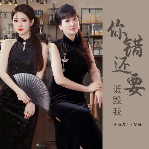 你错还要诋毁我