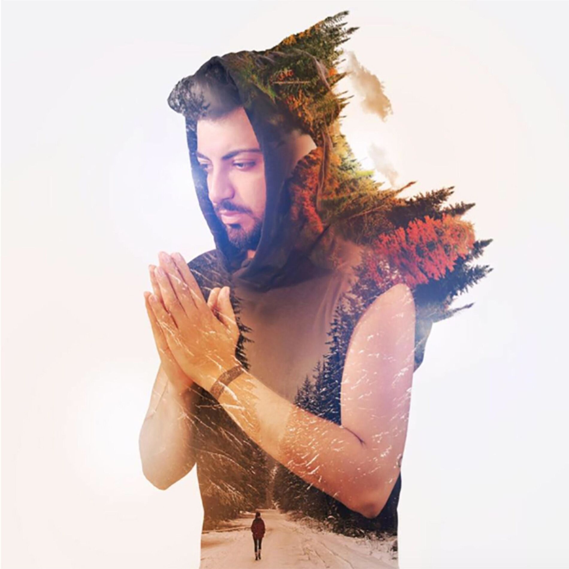 Album cover of Beşinci Mevsim