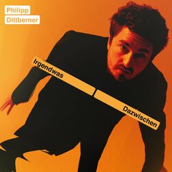 Cover of Irgendwas dazwischen