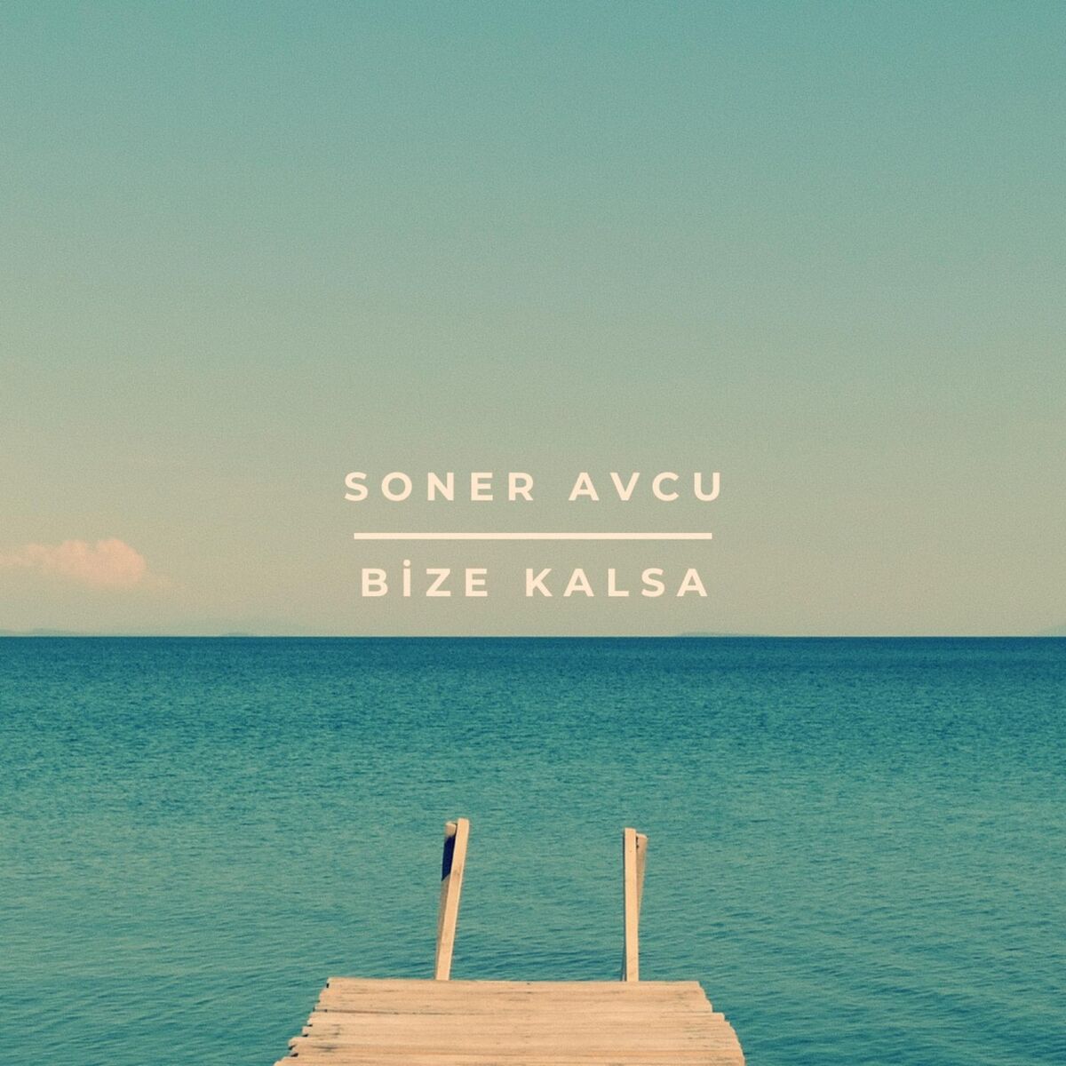 Album cover of Bize Kalsa