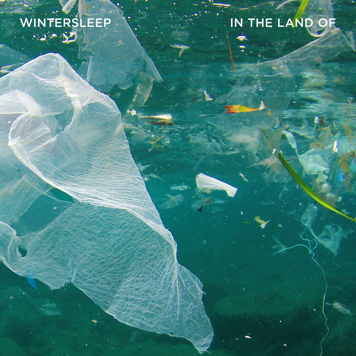 Album cover of In the Land Of