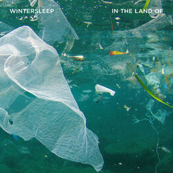 Cover of In the Land Of