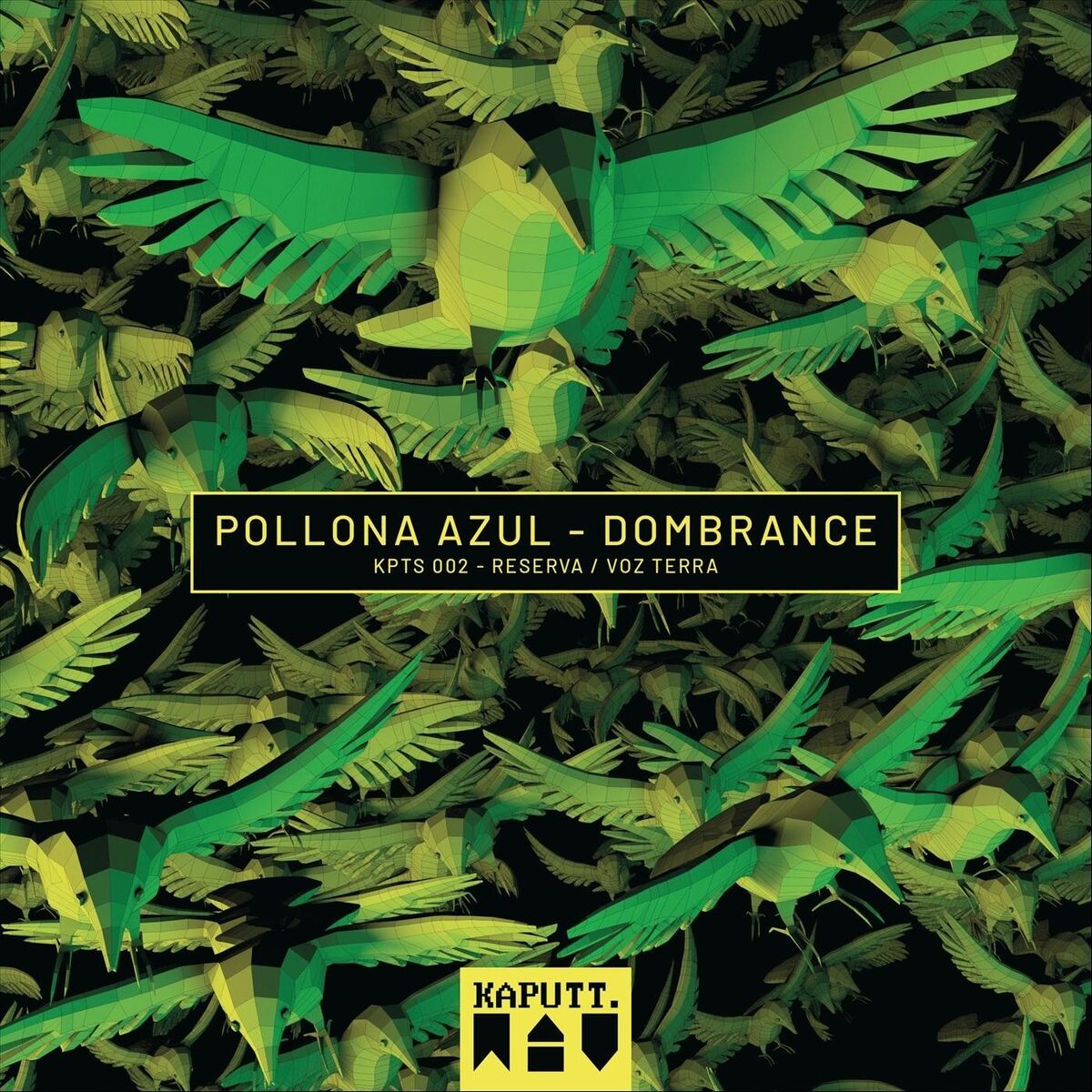 Album cover of Pollona Azul