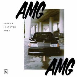 Cover of AMG